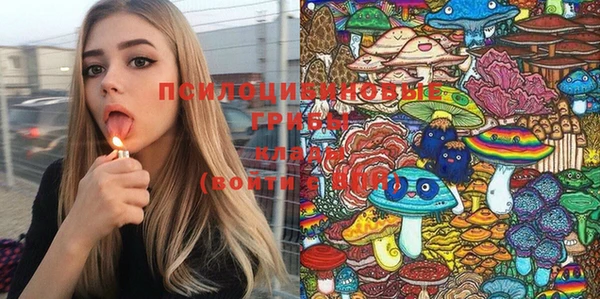 СК Щучье