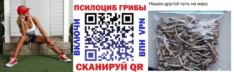 закладка  Заринск  Галлюциногенные грибы Cubensis 